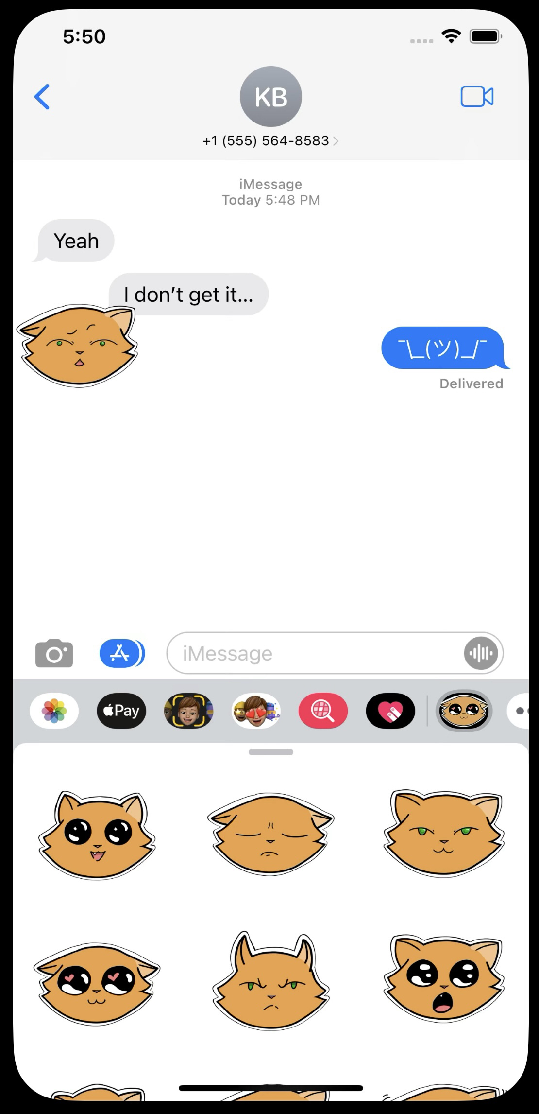 sandy the cat applestore screencap